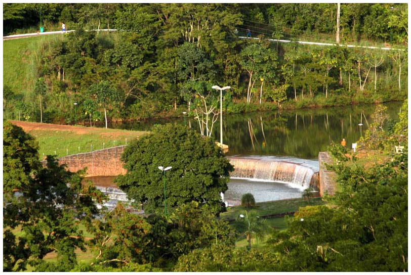 Prevenção e monitoramento de Febre maculosa em Palmas